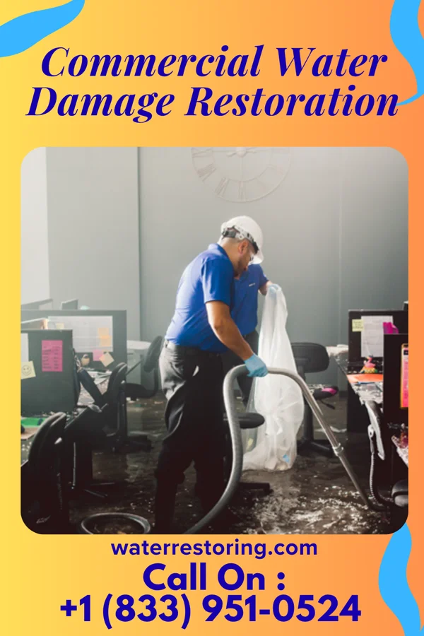 Commercial Water Damage Restoration in Centralia, WA